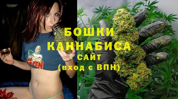 Альфа ПВП Осташков
