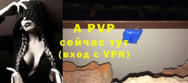 шишки Вуктыл