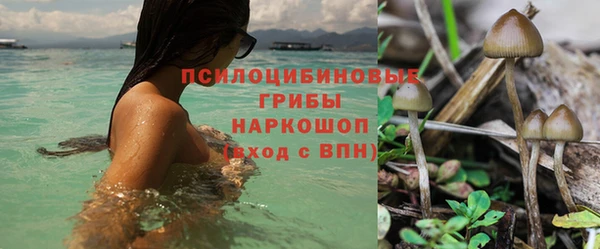 не бодяженный Абаза